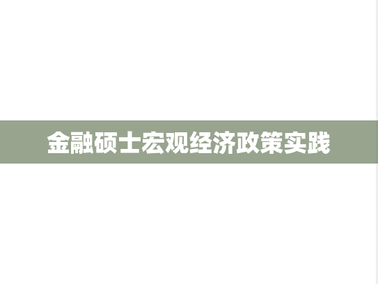 金融硕士宏观经济政策实践,金融硕士宏观经济政策实践,第1张