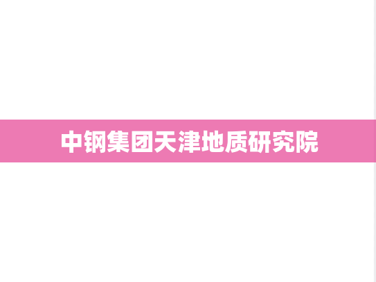 中钢集团天津地质研究院