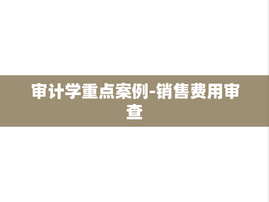 审计学重点案例-销售费用审查