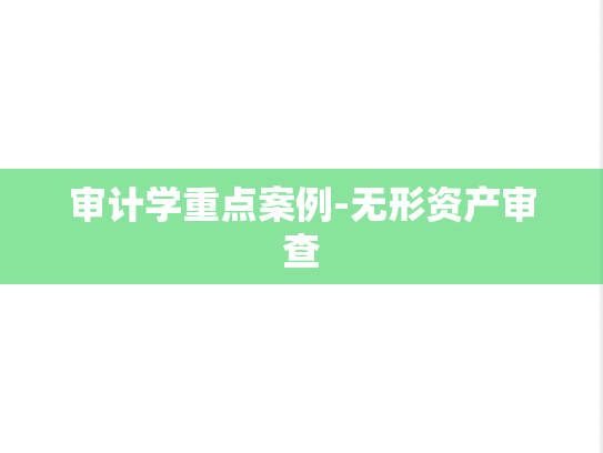 审计学重点案例-无形资产审查
