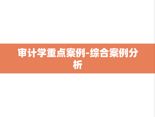 审计学重点案例-综合案例分析