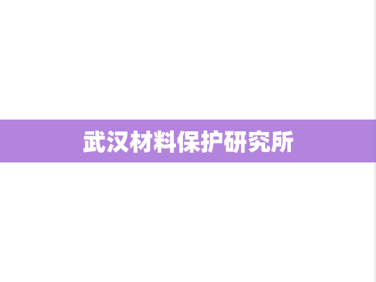 武汉材料保护研究所