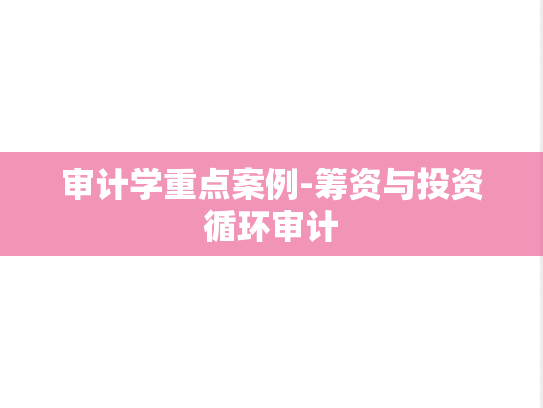 审计学重点案例-筹资与投资循环审计