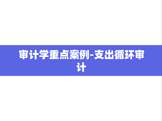 审计学重点案例-支出循环审计