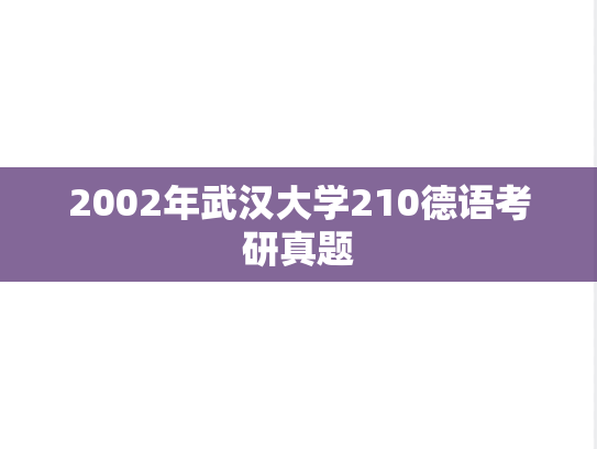 2002年武汉大学210德语考研真题