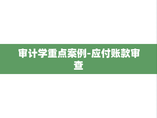 审计学重点案例-应付账款审查
