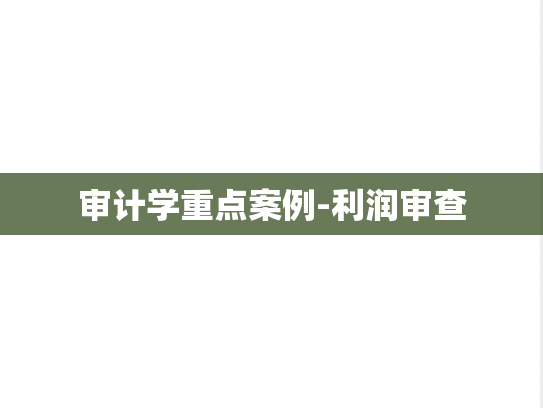 审计学重点案例-利润审查