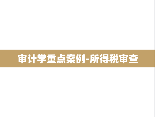 审计学重点案例-所得税审查