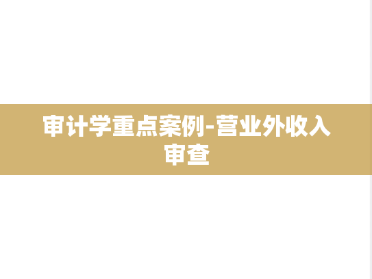 审计学重点案例-营业外收入审查