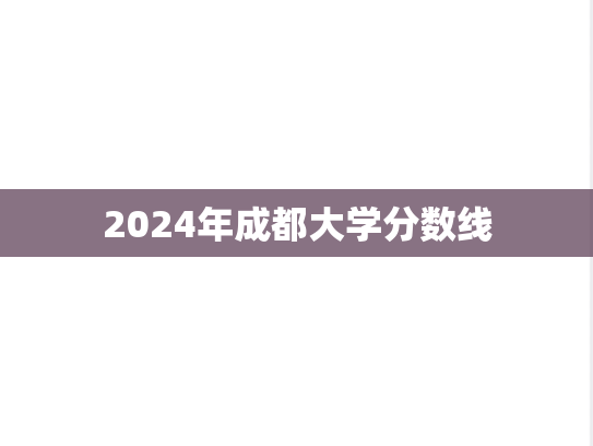 2024年成都大学分数线