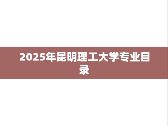 2025年昆明理工大学专业目录
