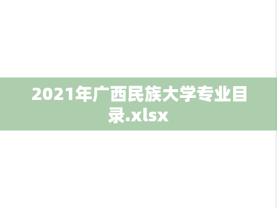 2021年广西民族大学专业目录.xlsx