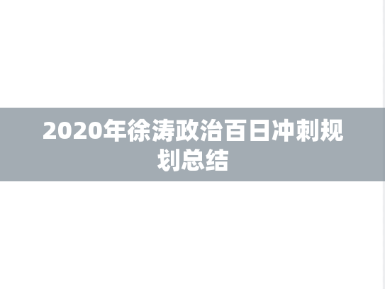 2020年徐涛政治百日冲刺规划总结