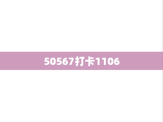 50567打卡1106