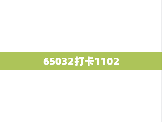 65032打卡1102