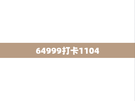 64999打卡1104