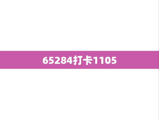 65284打卡1105