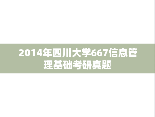 2014年四川大学667信息管理基础考研真题