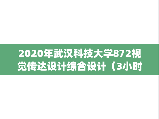 2020年武汉科技大学872视觉传达设计综合设计（3小时）命题样本A.pdf