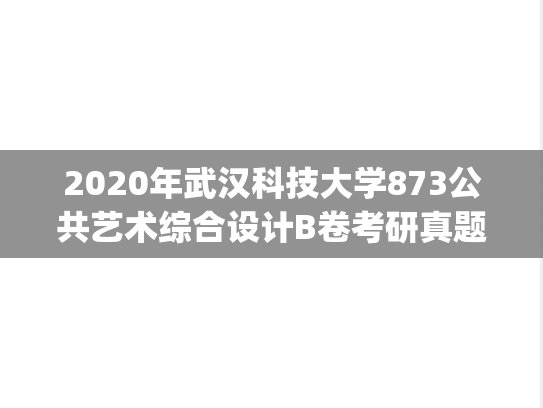 2020年武汉科技大学873公共艺术综合设计B卷考研真题.pdf