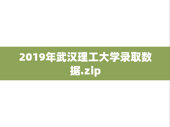 2019年武汉理工大学录取数据.zip