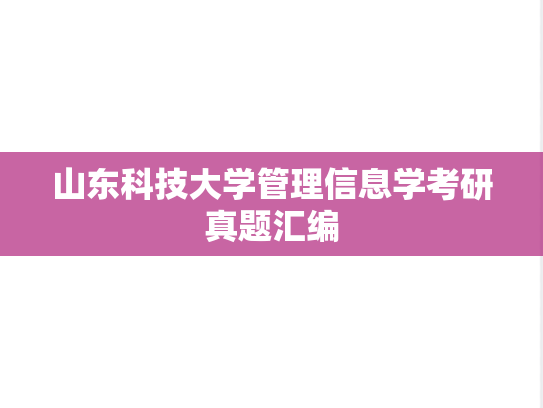 山东科技大学管理信息学考研真题汇编