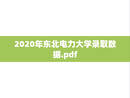2020年东北电力大学录取数据.pdf
