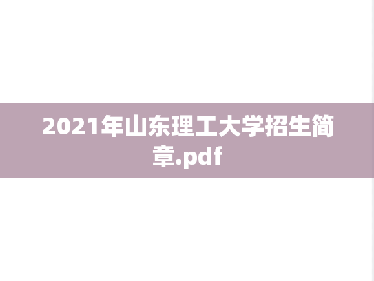 2021年山东理工大学招生简章.pdf,2021年山东理工大学招生简章.pdf,山东理工大学,第1张