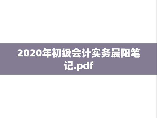 2020年初级会计实务晨阳笔记.pdf