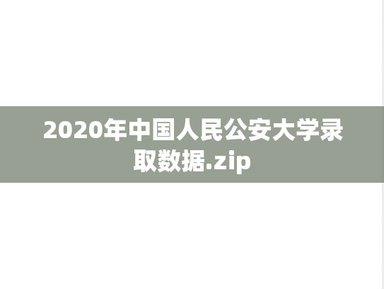 2020年中国人民公安大学录取数据.zip