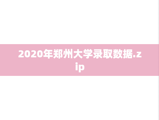2020年郑州大学录取数据.zip