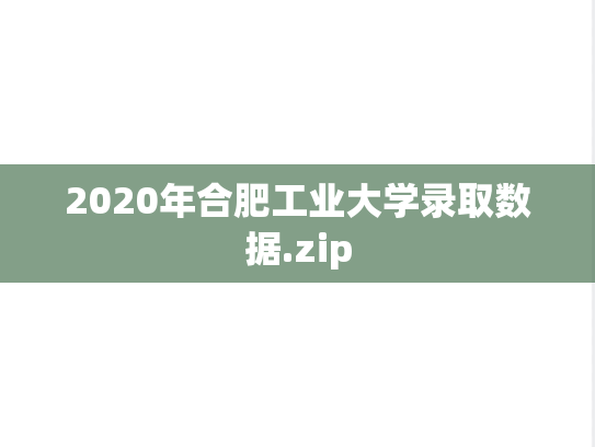 2020年合肥工业大学录取数据.zip