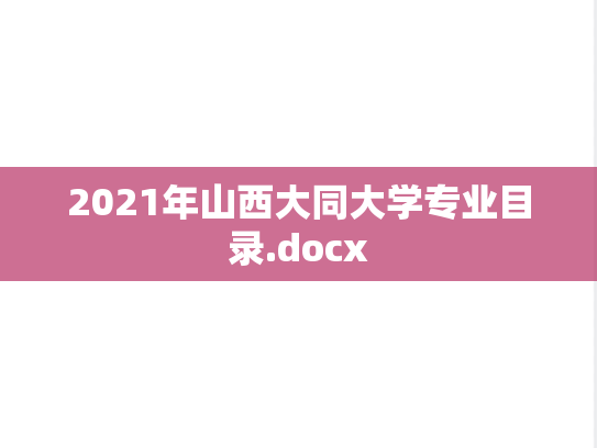 2021年山西大同大学专业目录.docx