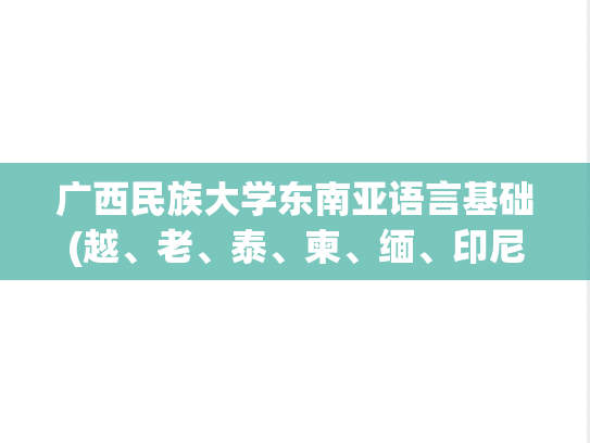 广西民族大学东南亚语言基础(越、老、泰、柬、缅、印尼)考研真题汇编（2016-2023）