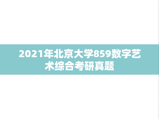 2021年北京大学859数字艺术综合考研真题