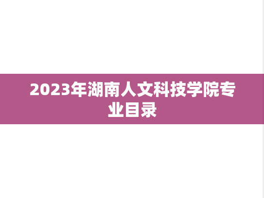 2023年湖南人文科技学院专业目录
