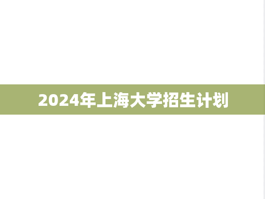 2024年上海大学招生计划