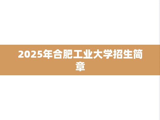 2025年合肥工业大学招生简章