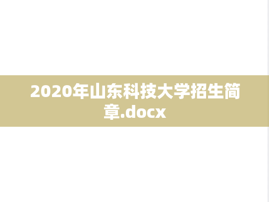 2020年山东科技大学招生简章.docx