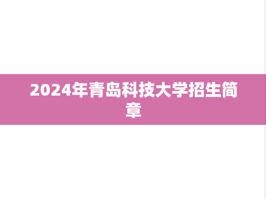 2024年青岛科技大学招生简章