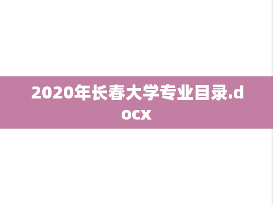 2020年长春大学专业目录.docx