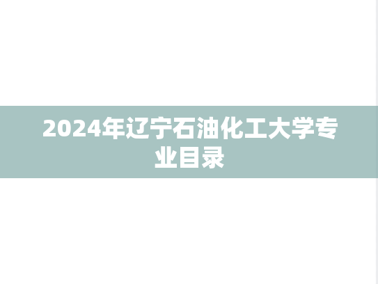 2024年辽宁石油化工大学专业目录