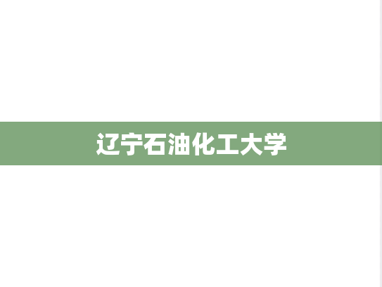 辽宁石油化工大学