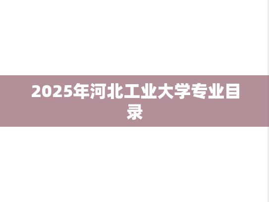 2025年河北工业大学专业目录