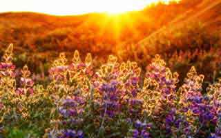 2004年华中科技大学460信号与系统考研真题