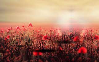 2016年湖北师范大学908中学历史教学法考研真题.pdf