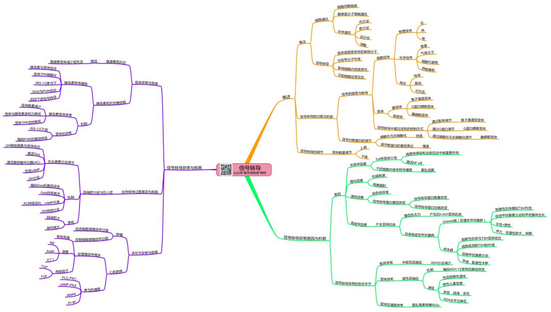 病理生理学思维导图,知识点,第6张
