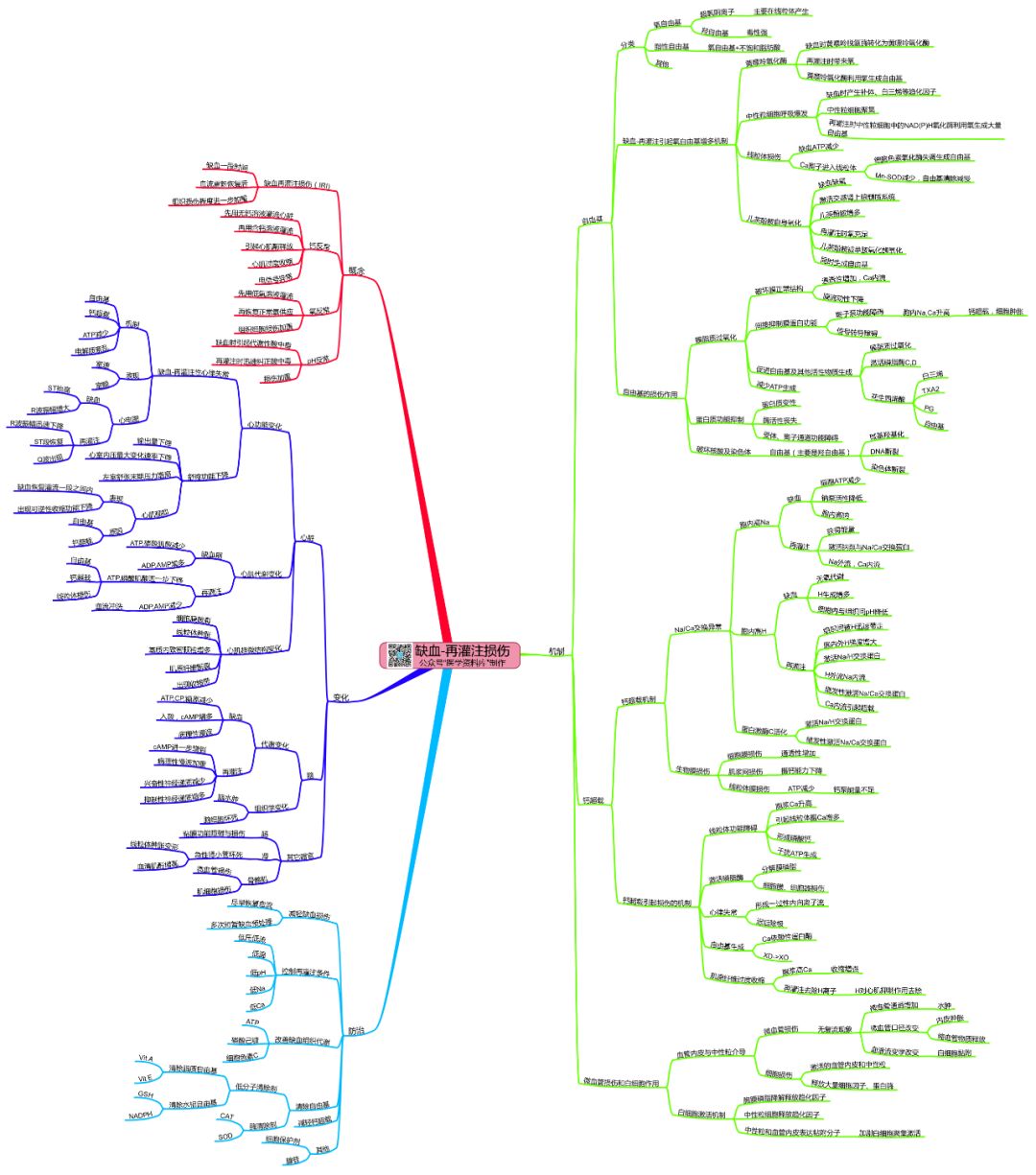 病理生理学思维导图,知识点,第7张