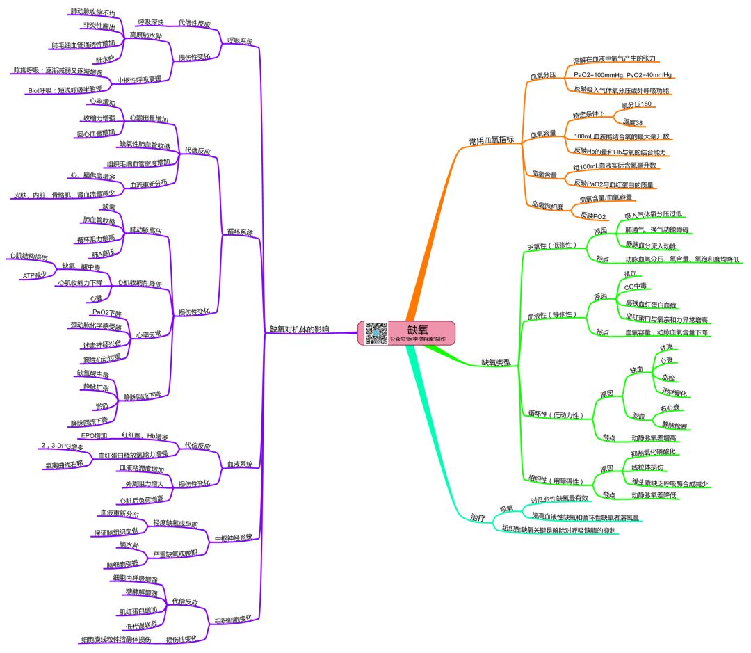 病理生理学思维导图,知识点,第5张