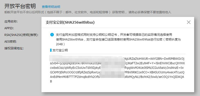 支付宝配置网页支付APPID、支付宝公钥、商家私钥,查看支付宝公钥,第4张